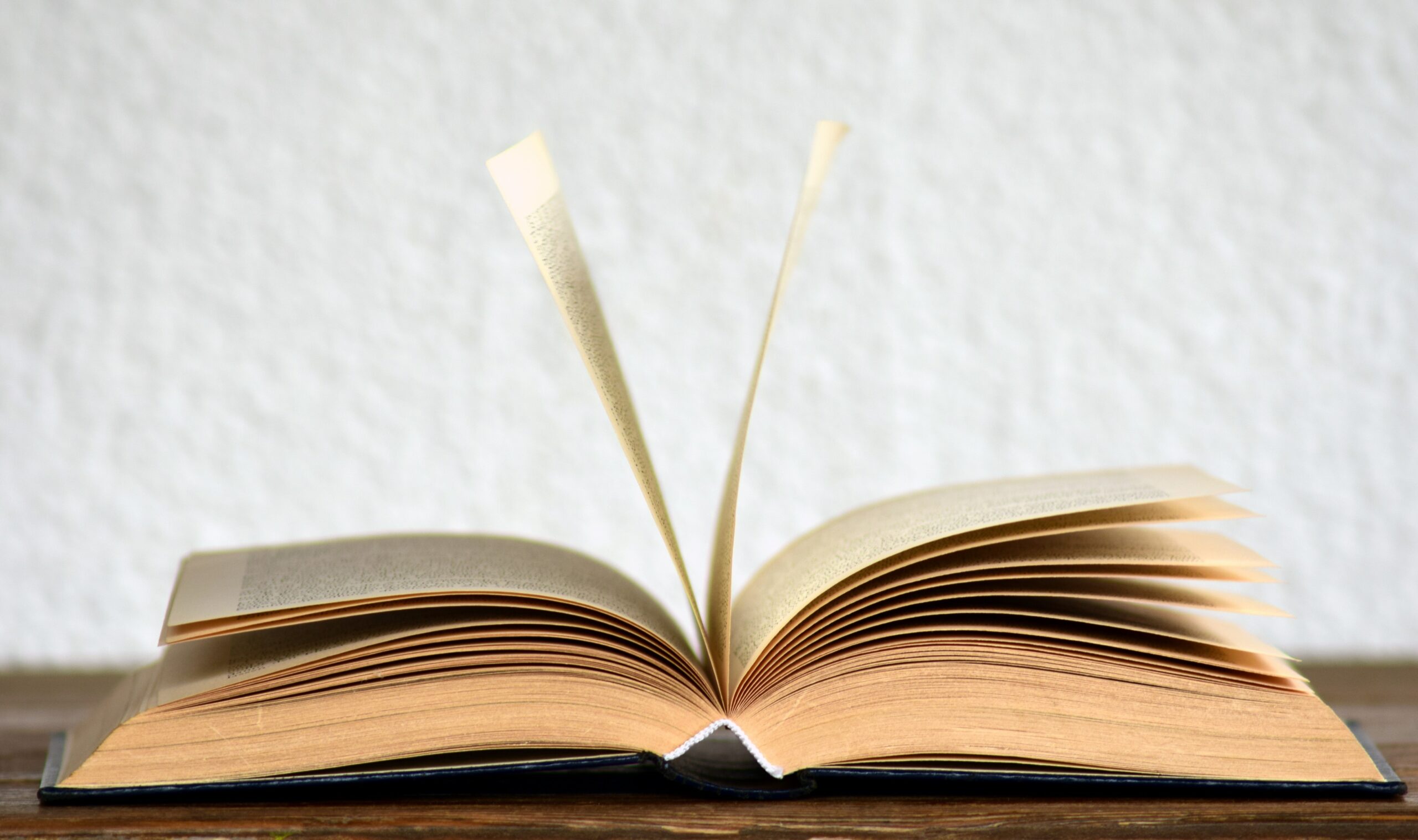 Libro presentazione