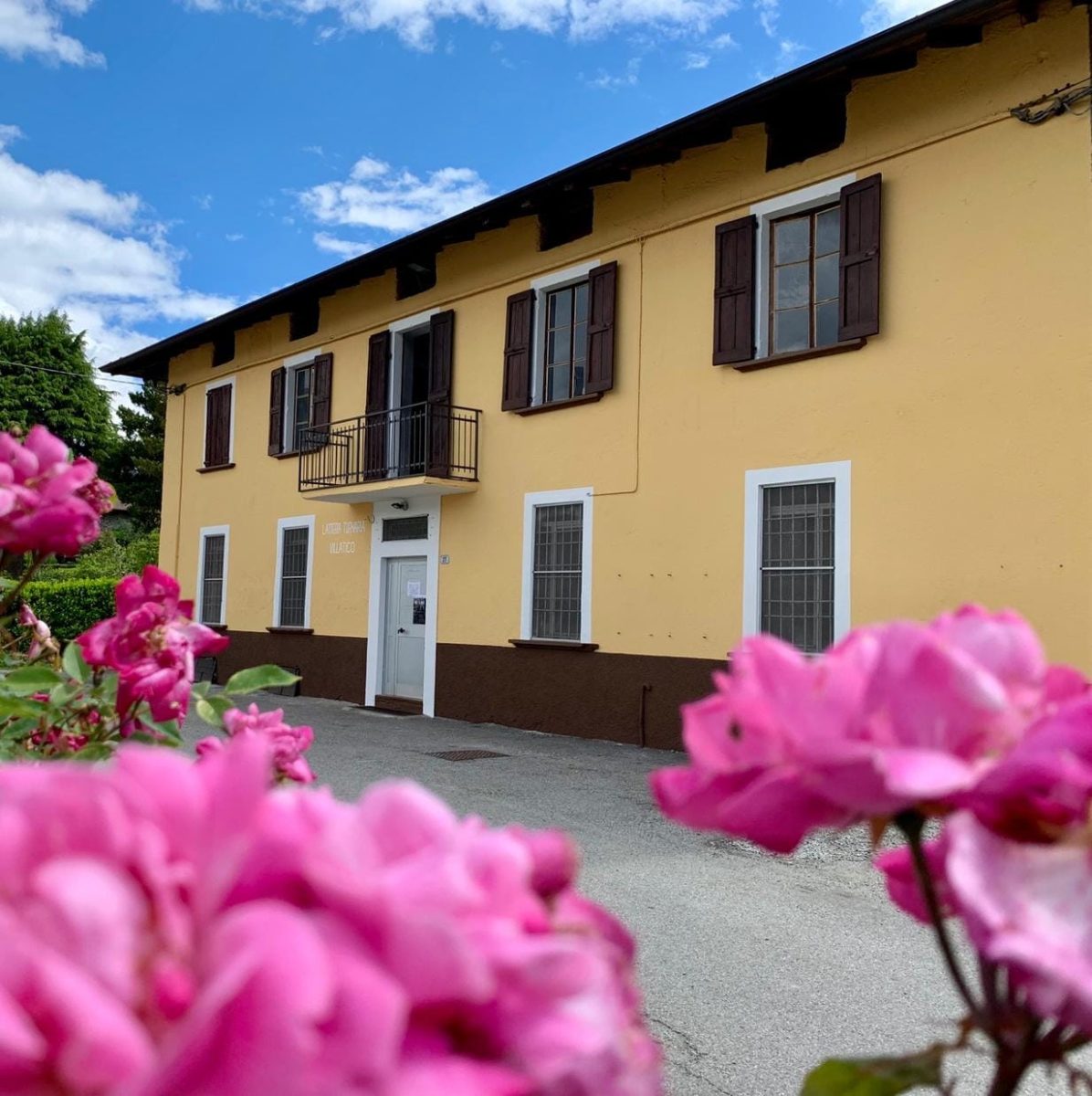 302247501 446425074170337 5932054268328638909 N