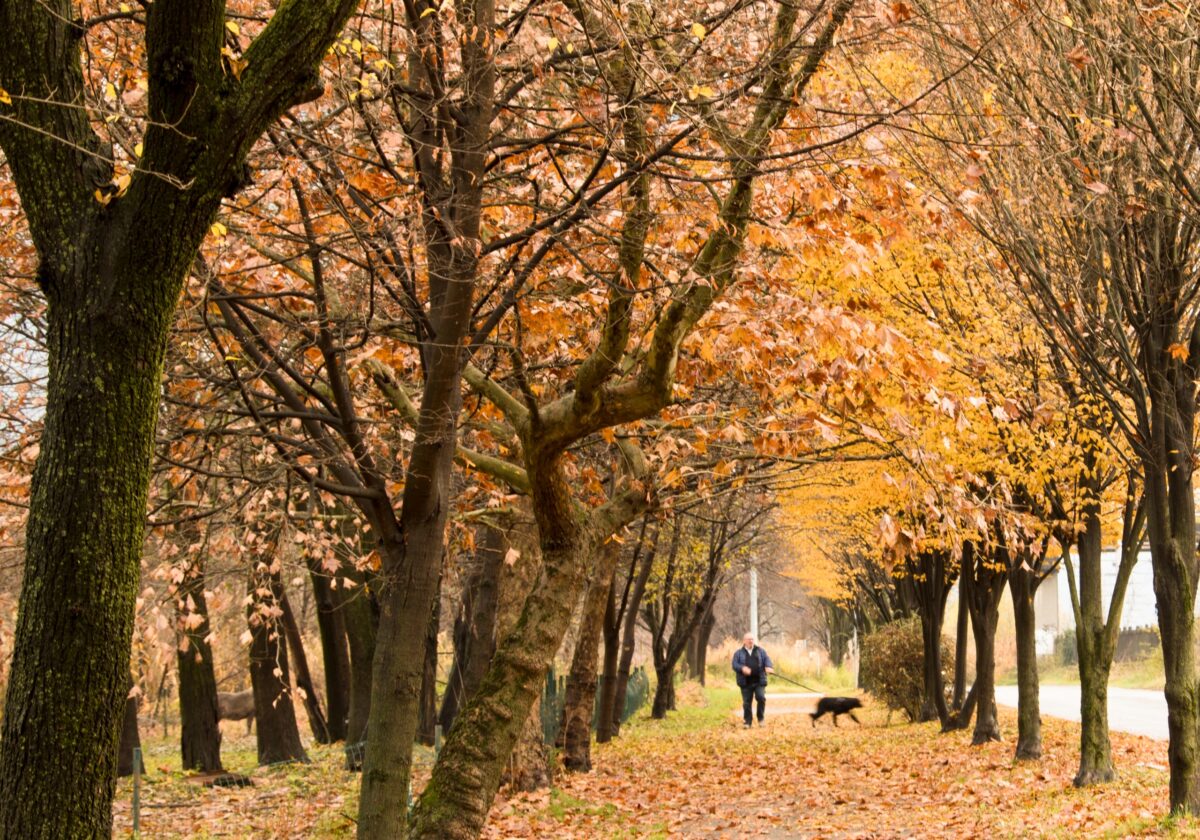 WhatsApp Image 2025 10 20 At 11.57.03