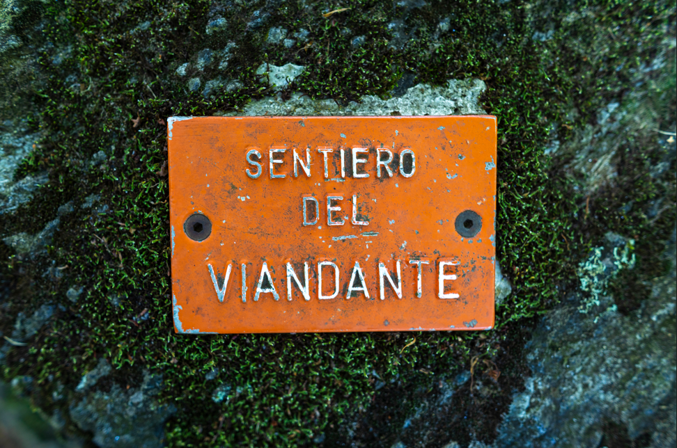 Screenshot 2026 03 12 155912