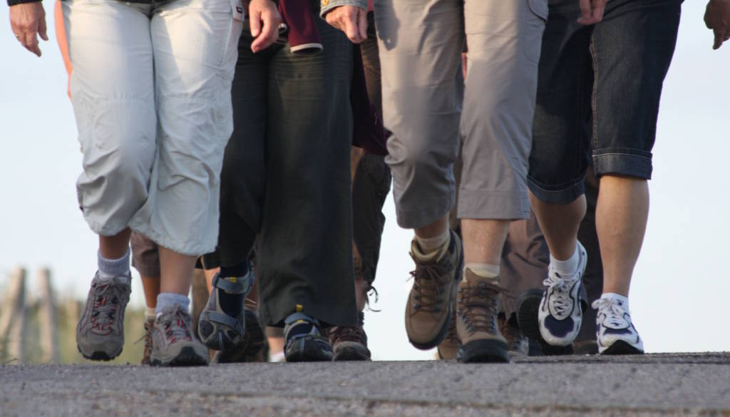 Gruppo Cammino 1024×585
